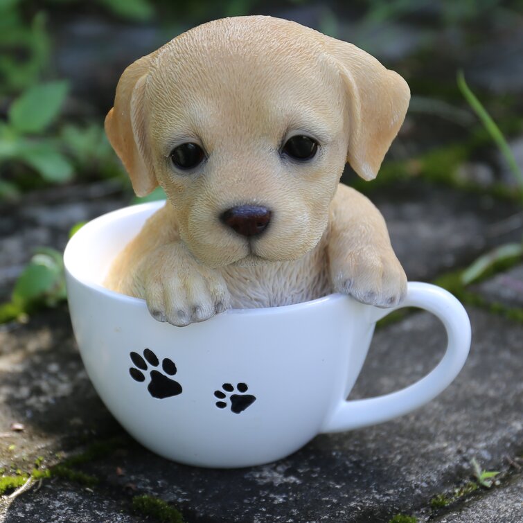 Teacup cheap labrador puppies